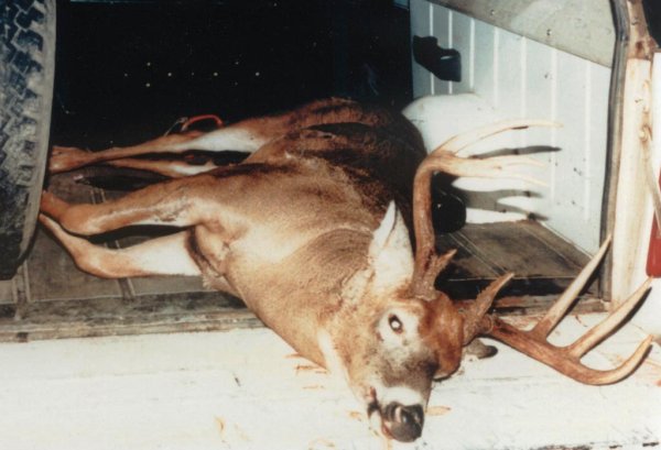 My first Pope and Young buck taken
Oct 31, 1984. 
Score: 130 3/8