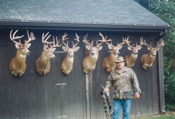 Big bucks taken subsequent
to this picture in 1996 are
not shown as pictured